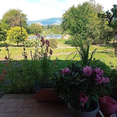 ヴェッレトリ Casa Pratolungoゲストハウス エクステリア 写真