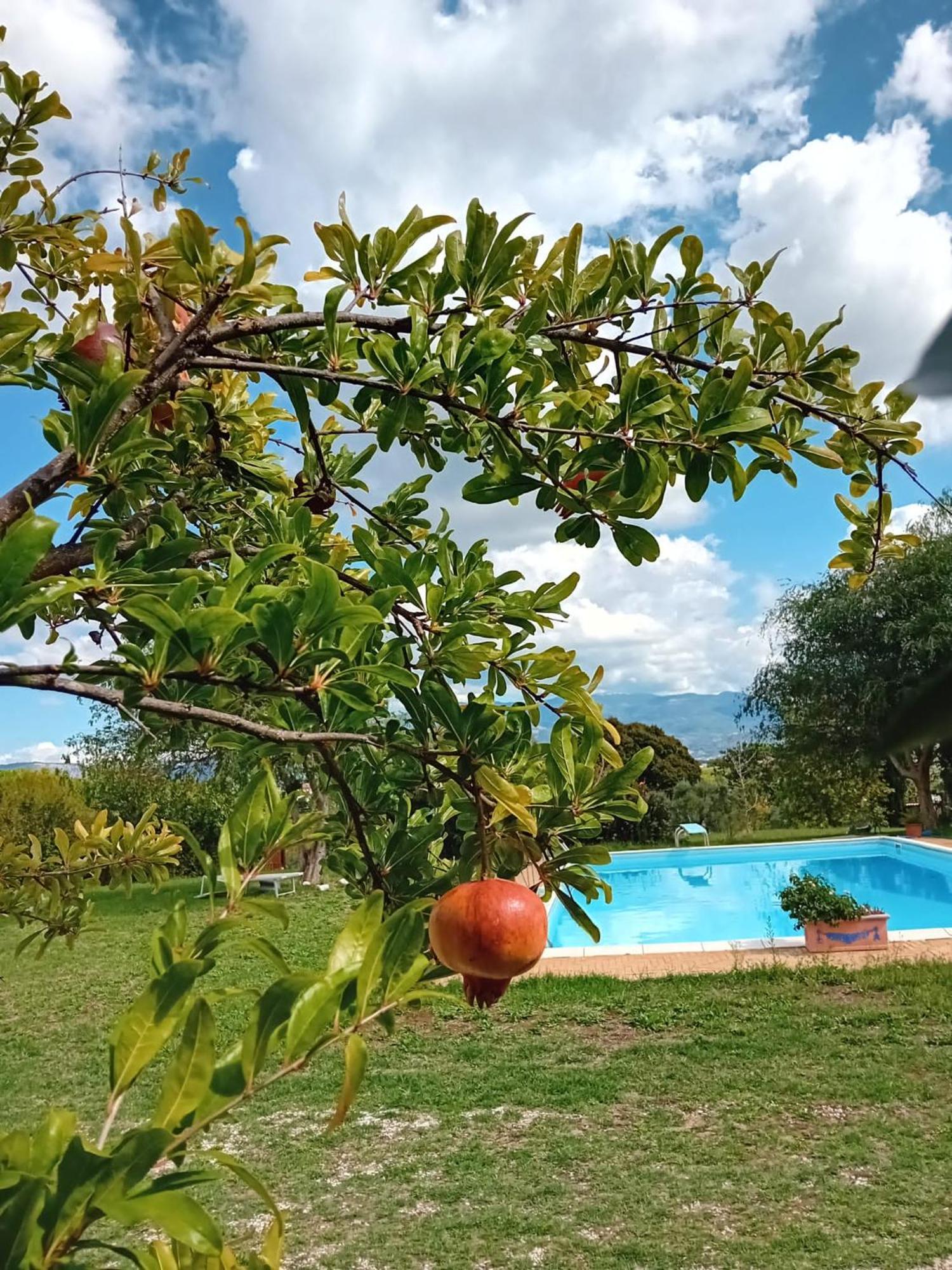 ヴェッレトリ Casa Pratolungoゲストハウス エクステリア 写真